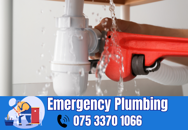  plumber Woodnesborough